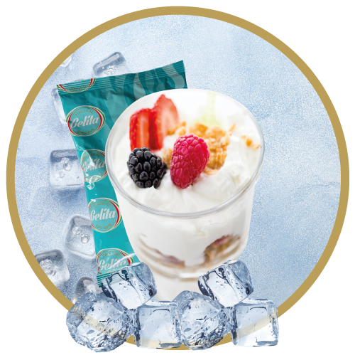 GELITA - FROZEN YOGHURT - 600 gram